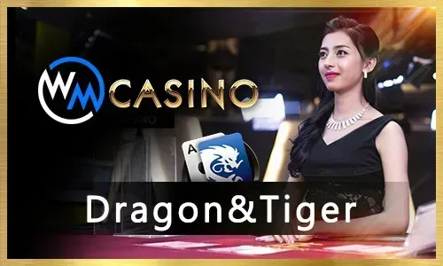 PHDREAM Bingo Speed